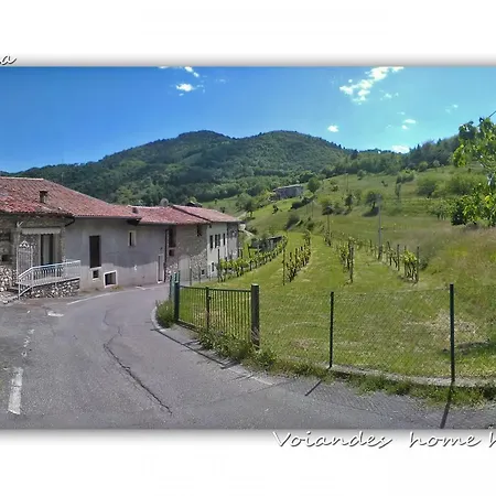 Appartamenti La Tartufaia Country House Pool And Relax By Gardadomusmea